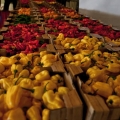 Dutch Chili Fest