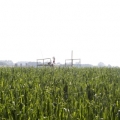 Waalkens project